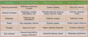 Після якої культури можна садити моркву у відкритий грунт