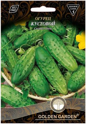 Кущовий огірок: опис і характеристика сорту, вирощування у відкритому грунті