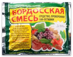 Эаражение картофеля фитофторой