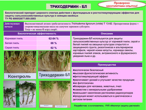 Как обрабатывать овощи Триходермином