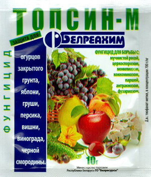 Фунгіцид Топсин М: інструкція із застосування, як діє тіофінат метил, порядок використання