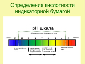 Кислотность почвы -  определение Ph  