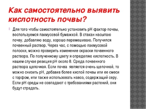 Кислотність грунту: як її визначити в домашніх умовах самостійно на ділянці