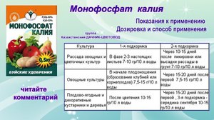 Монофосфат калію: склад і властивості добрива, переваги і недоліки, способи підгодівлі