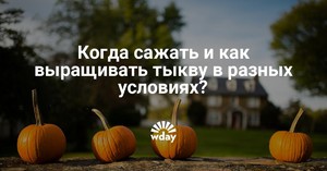 Гарбуз: підготовка і посадка овоча насінням у відкритий грунт, догляд за паростками